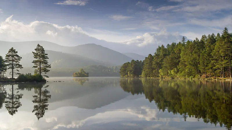 (Credit: Scotland The Big Picture/Nature Picture Library)